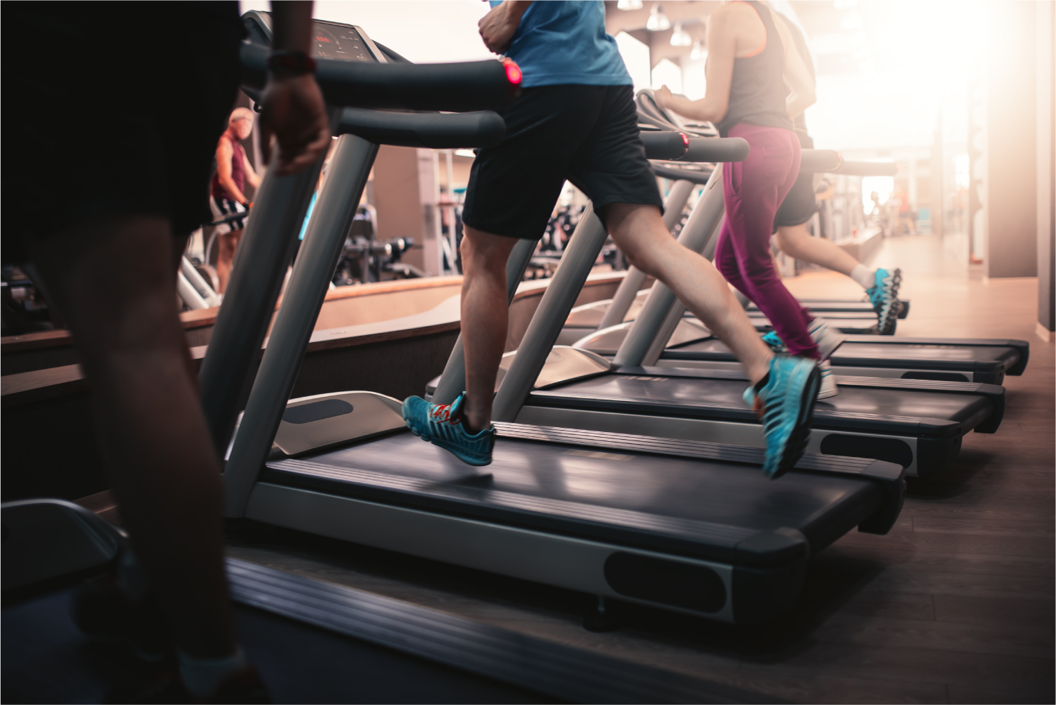 Is Cardio Detrimental to Gains?